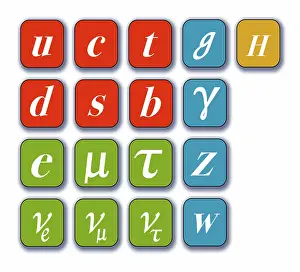 Higgs Boson Particle Prints: Standard Model, Particle Physics