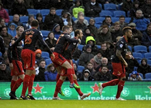 Sky Bet Championship - Brighton and Hove Albion v Reading - The AMEX Stadium Sky Bet Championship - Brighton and Hove Albion v Reading - The AMEX Stadium