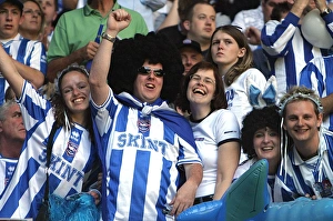 Football Supporters Cheering Prints: 0078