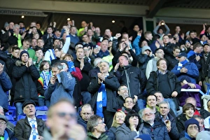 Birmingham City v Brighton and Hove Albion Sky Bet Championship 05/04/2016 Birmingham City v Brighton and Hove Albion Sky Bet Championship 05/04/2016