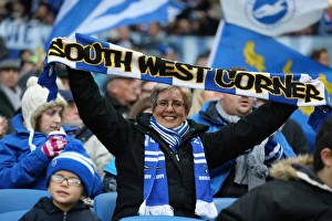 Brighton and Hove Albion v Birmingham City Sky Bet Championship 28/11/2015 Brighton and Hove Albion v Birmingham City Sky Bet Championship 28/11/2015