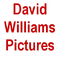 David Williams